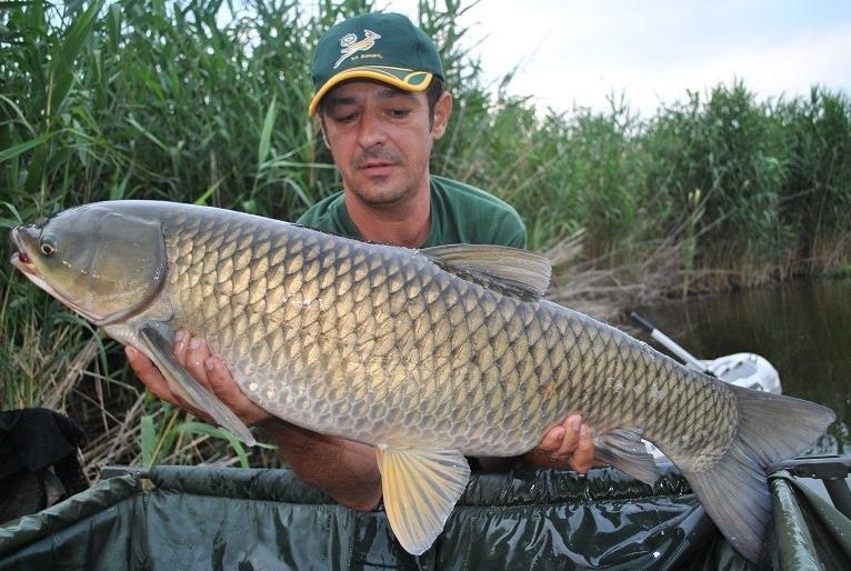 5 ponturi de la Andrei Vladeanu pentru a prinde repede cteno pe canicula.